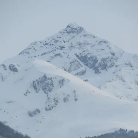 Villa Récente , Au Calme Vue Sur Les Pyrénées *